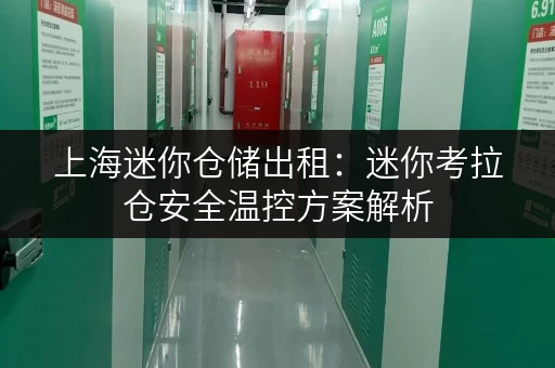 上海迷你仓储出租:迷你考拉仓安全温控方案解析 上海迷你仓储出租:迷你考拉仓安全温控方案解析