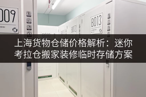 上海货物仓储价格解析:迷你考拉仓搬家装修临时存储方案 上海货物仓储价格解析:迷你考拉仓搬家装修临时存储方案