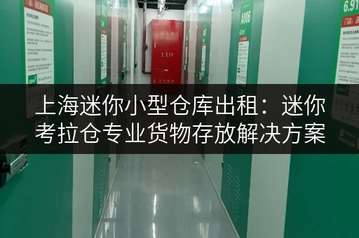 上海迷你小型仓库出租:迷你考拉仓专业货物存放解决方案 上海迷你小型仓库出租:迷你考拉仓专业货物存放解决方案