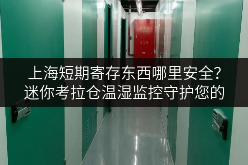 上海短期寄存东西哪里安全?迷你考拉仓温湿监控守护您的物品 上海短期寄存东西哪里安全?迷你考拉仓温湿监控守护您的物品