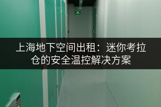 上海地下空间出租:迷你考拉仓的安全温控解决方案 上海地下空间出租:迷你考拉仓的安全温控解决方案