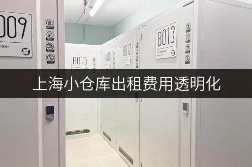 上海小仓库出租费用透明化,迷你考拉仓安全温湿监控保障 上海小仓库出租费用透明化,迷你考拉仓安全温湿监控保障