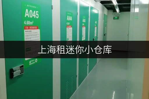 上海租迷你小仓库,搬家装修存储新选择——迷你考拉仓 上海租迷你小仓库,搬家装修存储新选择——迷你考拉仓