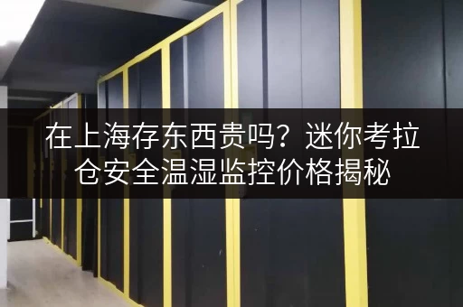 在上海存东西贵吗?迷你考拉仓安全温湿监控价格揭秘 在上海存东西贵吗?迷你考拉仓安全温湿监控价格揭秘