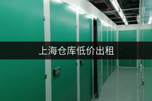 上海仓库低价出租，搬家装修存储首选迷你考拉仓