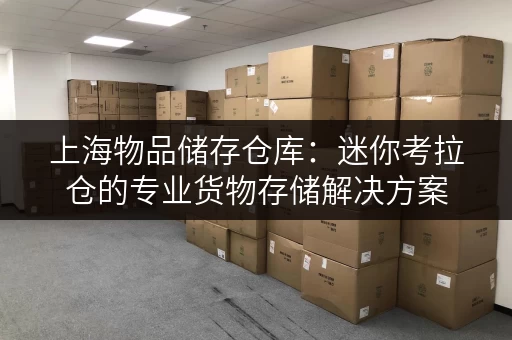 上海物品储存仓库:迷你考拉仓的专业货物存储解决方案 上海物品储存仓库:迷你考拉仓的专业货物存储解决方案