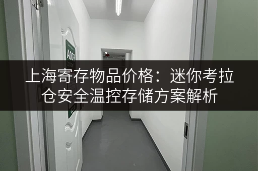 上海寄存物品价格：迷你考拉仓安全温控存储方案解析