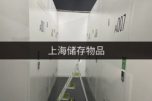 上海储存物品,迷你考拉仓9区门店选址攻略 上海储存物品,迷你考拉仓9区门店选址攻略