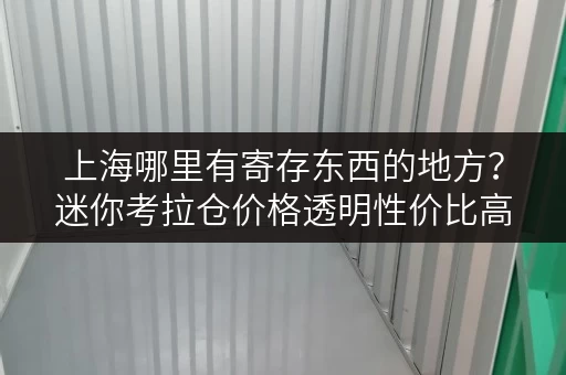上海哪里有寄存东西的地方?迷你考拉仓价格透明性价比高 上海哪里有寄存东西的地方?迷你考拉仓价格透明性价比高