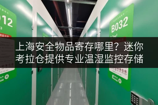 上海安全物品寄存哪里?迷你考拉仓提供专业温湿监控存储 上海安全物品寄存哪里?迷你考拉仓提供专业温湿监控存储