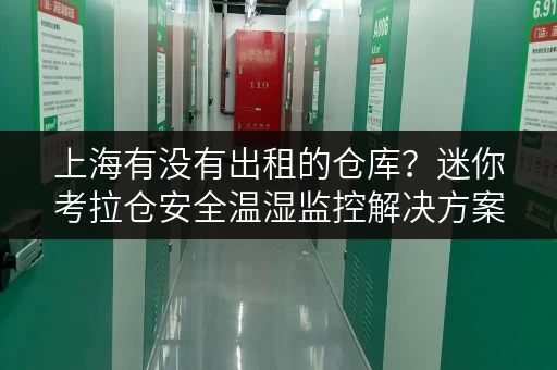 上海有没有出租的仓库?迷你考拉仓安全温湿监控解决方案 上海有没有出租的仓库?迷你考拉仓安全温湿监控解决方案
