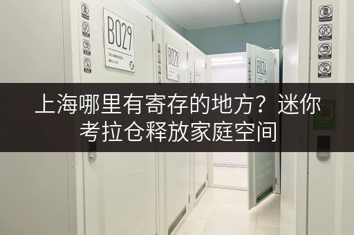 上海哪里有寄存的地方?迷你考拉仓释放家庭空间 上海哪里有寄存的地方?迷你考拉仓释放家庭空间