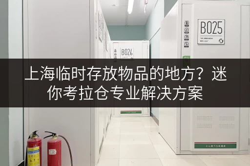 上海临时存放物品的地方？迷你考拉仓专业解决方案