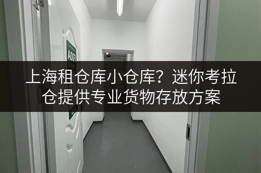 上海租仓库小仓库？迷你考拉仓提供专业货物存放方案