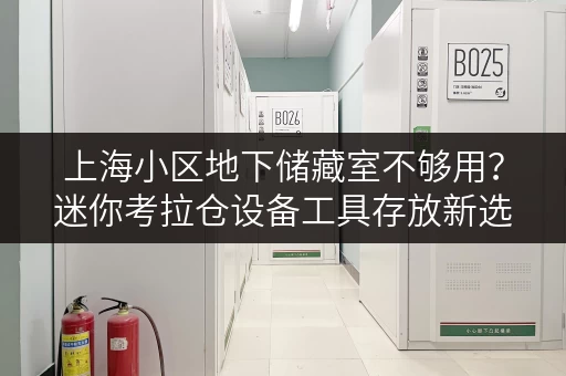 上海小区地下储藏室不够用?迷你考拉仓设备工具存放新选择 上海小区地下储藏室不够用?迷你考拉仓设备工具存放新选择