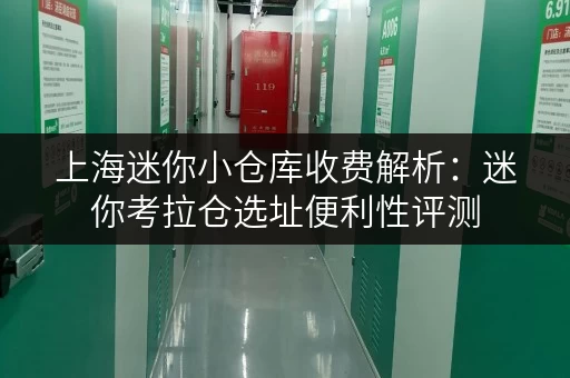 上海迷你小仓库收费解析:迷你考拉仓选址便利性评测 上海迷你小仓库收费解析:迷你考拉仓选址便利性评测