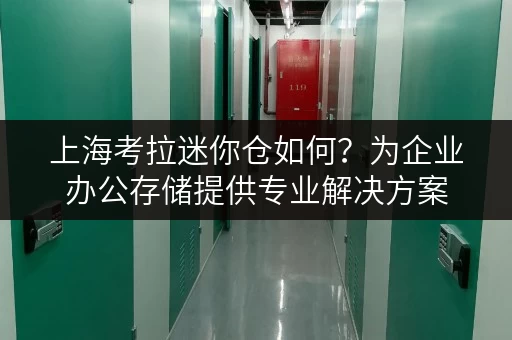 上海考拉迷你仓如何?为企业办公存储提供专业解决方案 上海考拉迷你仓如何?为企业办公存储提供专业解决方案