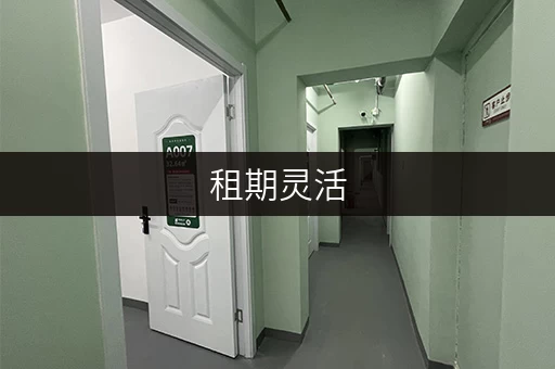 租期灵活,存取自由:上海迷你考拉仓储藏室租赁 租期灵活,存取自由:上海迷你考拉仓储藏室租赁