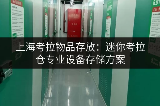 上海考拉物品存放:迷你考拉仓专业设备存储方案 上海考拉物品存放:迷你考拉仓专业设备存储方案