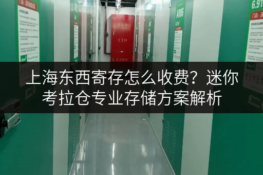 上海东西寄存怎么收费?迷你考拉仓专业存储方案解析 上海东西寄存怎么收费?迷你考拉仓专业存储方案解析