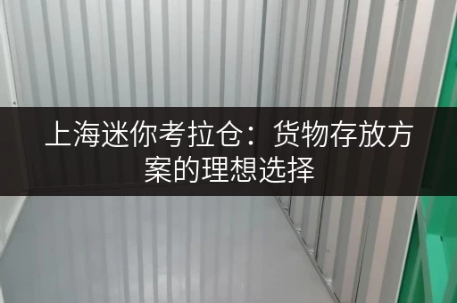 上海迷你考拉仓:货物存放方案的理想选择 上海迷你考拉仓:货物存放方案的理想选择