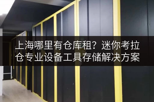 上海哪里有仓库租?迷你考拉仓专业设备工具存储解决方案 上海哪里有仓库租?迷你考拉仓专业设备工具存储解决方案