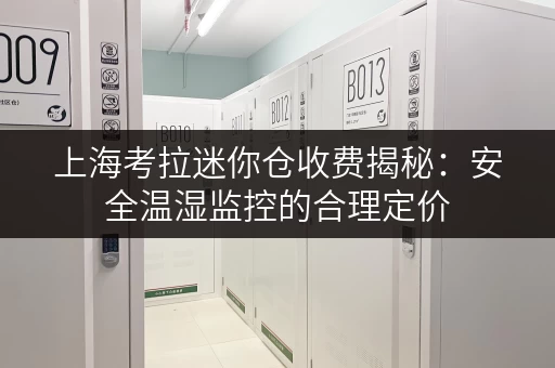 上海考拉迷你仓收费揭秘:安全温湿监控的合理定价 上海考拉迷你仓收费揭秘:安全温湿监控的合理定价