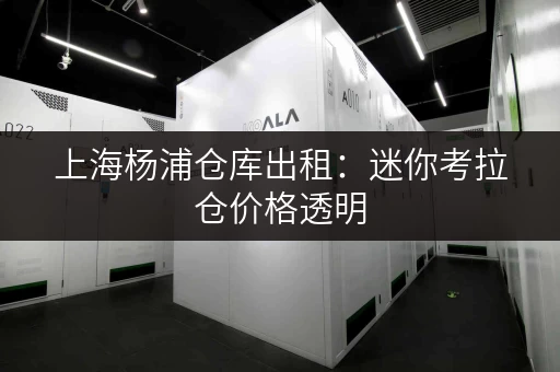 上海杨浦仓库出租：迷你考拉仓价格透明，性价比之选