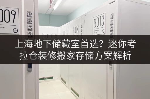 上海地下储藏室首选?迷你考拉仓装修搬家存储方案解析 上海地下储藏室首选?迷你考拉仓装修搬家存储方案解析