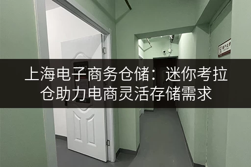 上海电子商务仓储:迷你考拉仓助力电商灵活存储需求 上海电子商务仓储:迷你考拉仓助力电商灵活存储需求