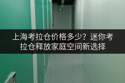 上海考拉仓价格多少?迷你考拉仓释放家庭空间新选择 上海考拉仓价格多少?迷你考拉仓释放家庭空间新选择