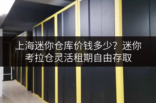 上海迷你仓库价钱多少?迷你考拉仓灵活租期自由存取 上海迷你仓库价钱多少?迷你考拉仓灵活租期自由存取