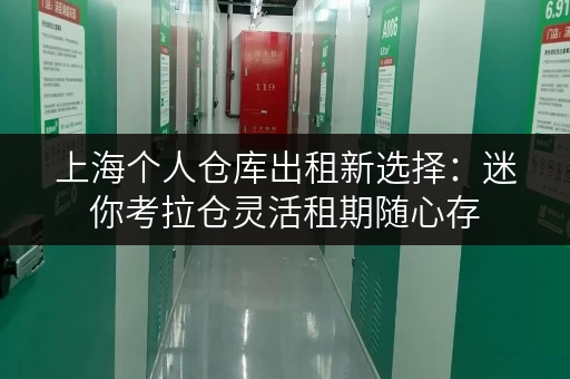 上海个人仓库出租新选择:迷你考拉仓灵活租期随心存 上海个人仓库出租新选择:迷你考拉仓灵活租期随心存