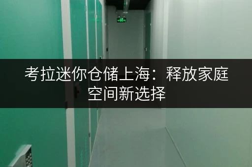 考拉迷你仓储上海：释放家庭空间新选择