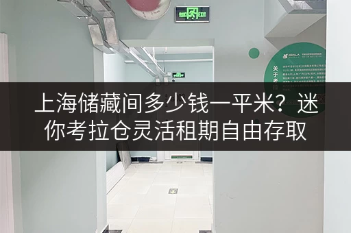 上海储藏间多少钱一平米?迷你考拉仓灵活租期自由存取 上海储藏间多少钱一平米?迷你考拉仓灵活租期自由存取