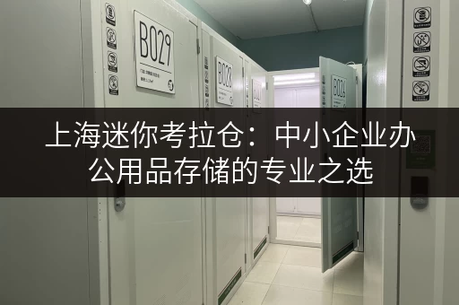 上海迷你考拉仓:中小企业办公用品存储的专业之选 上海迷你考拉仓:中小企业办公用品存储的专业之选