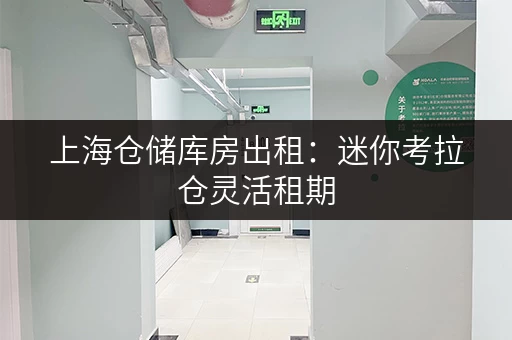 上海仓储库房出租:迷你考拉仓灵活租期,自由存取 上海仓储库房出租:迷你考拉仓灵活租期,自由存取