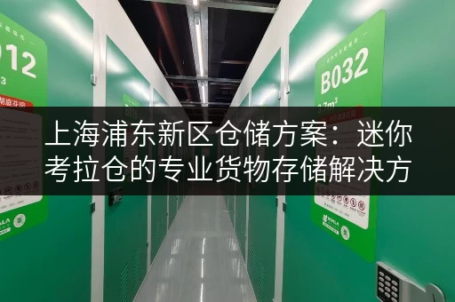 上海浦东新区仓储方案：迷你考拉仓的专业货物存储解决方案