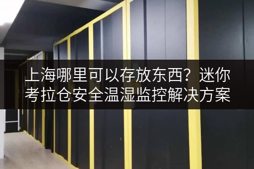 上海哪里可以存放东西？迷你考拉仓安全温湿监控解决方案