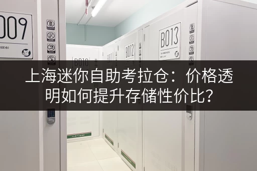 上海迷你自助考拉仓:价格透明如何提升存储性价比? 上海迷你自助考拉仓:价格透明如何提升存储性价比?