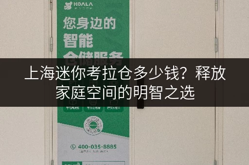 上海迷你考拉仓多少钱？释放家庭空间的明智之选