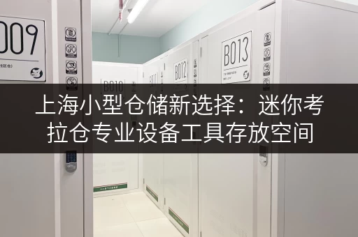 上海小型仓储新选择:迷你考拉仓专业设备工具存放空间 上海小型仓储新选择:迷你考拉仓专业设备工具存放空间
