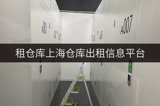 租仓库上海仓库出租信息平台,面积选择攻略,轻松解决空间难题 租仓库上海仓库出租信息平台,面积选择攻略,轻松解决空间难题