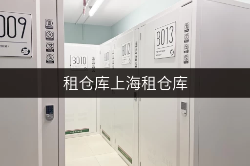 租仓库上海租仓库,价格透明,安全无忧——迷你考拉仓带你探索仓储新体验 租仓库上海租仓库,价格透明,安全无忧——迷你考拉仓带你探索仓储新体验