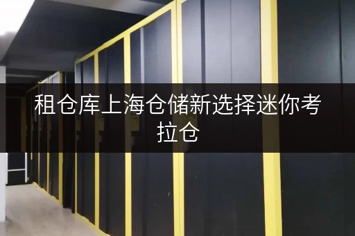 租仓库上海仓储新选择迷你考拉仓,安全温湿监控下的价格优势 租仓库上海仓储新选择迷你考拉仓,安全温湿监控下的价格优势