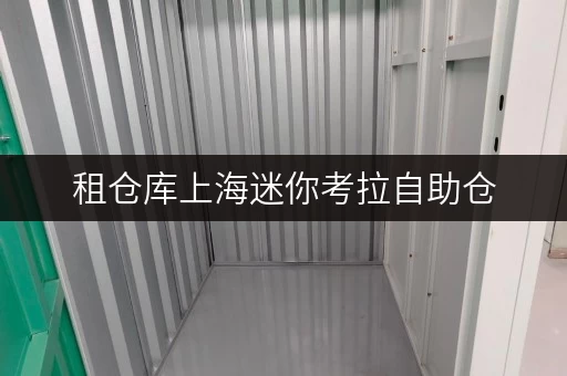 租仓库上海迷你考拉自助仓,存取无忧,全时段服务,让生活更便捷 租仓库上海迷你考拉自助仓,存取无忧,全时段服务,让生活更便捷