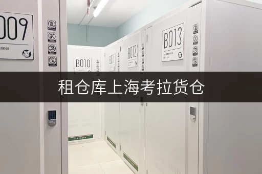 租仓库上海考拉货仓,您的私人安全储物管家 租仓库上海考拉货仓,您的私人安全储物管家