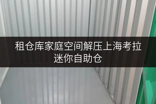 租仓库家庭空间解压上海考拉迷你自助仓，性价比高，释放居住品质新境界