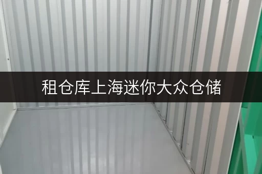 租仓库上海迷你大众仓储,货物存放省心新选择 租仓库上海迷你大众仓储,货物存放省心新选择