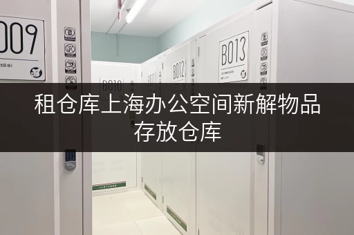 租仓库上海办公空间新解物品存放仓库,让办公更高效 租仓库上海办公空间新解物品存放仓库,让办公更高效